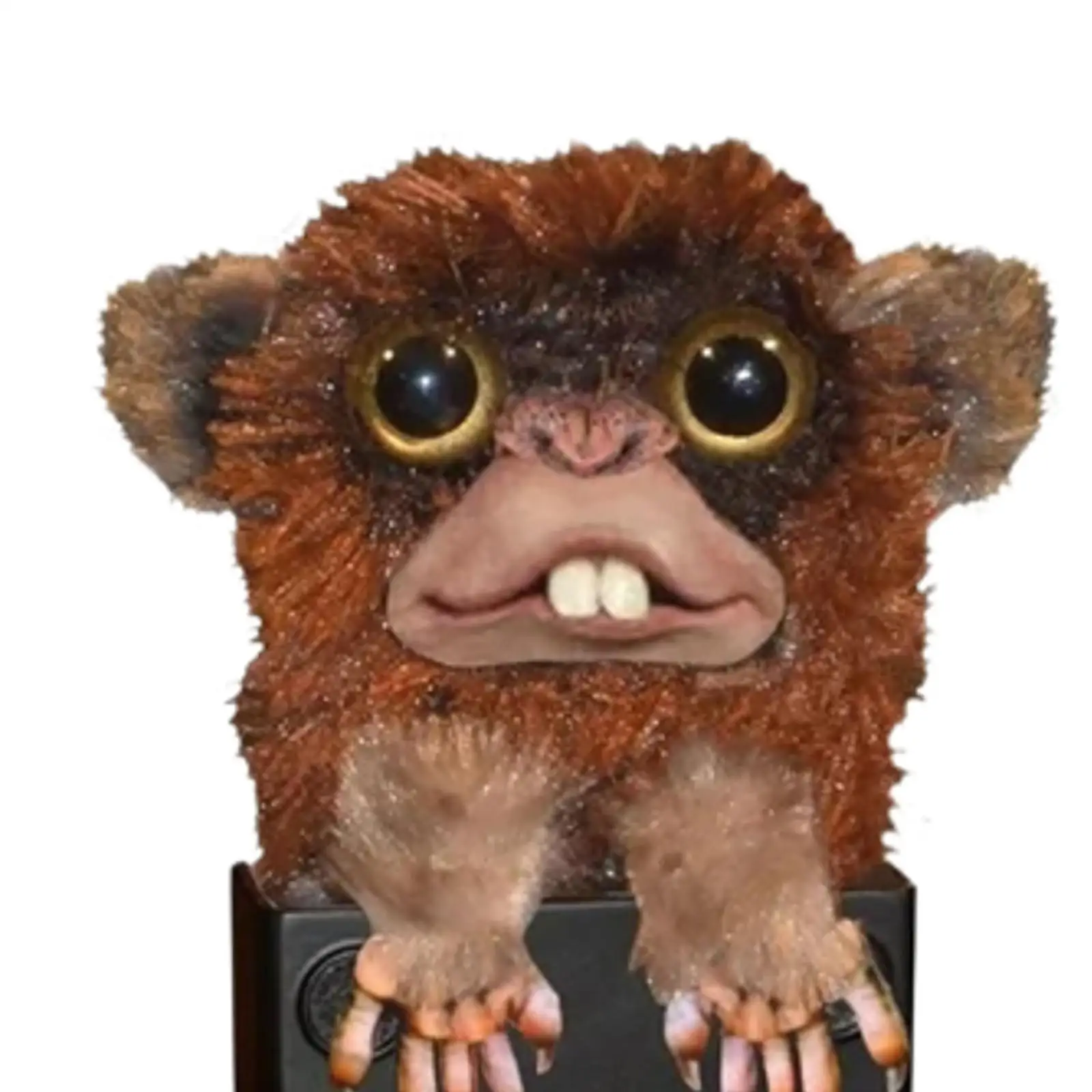 Funny Trick Monkey Toy Interesting Halloween Cute for Children Kids Adults
Funny Trick Monkey Toy Interesting Halloween Cute for Children Kids Adults
