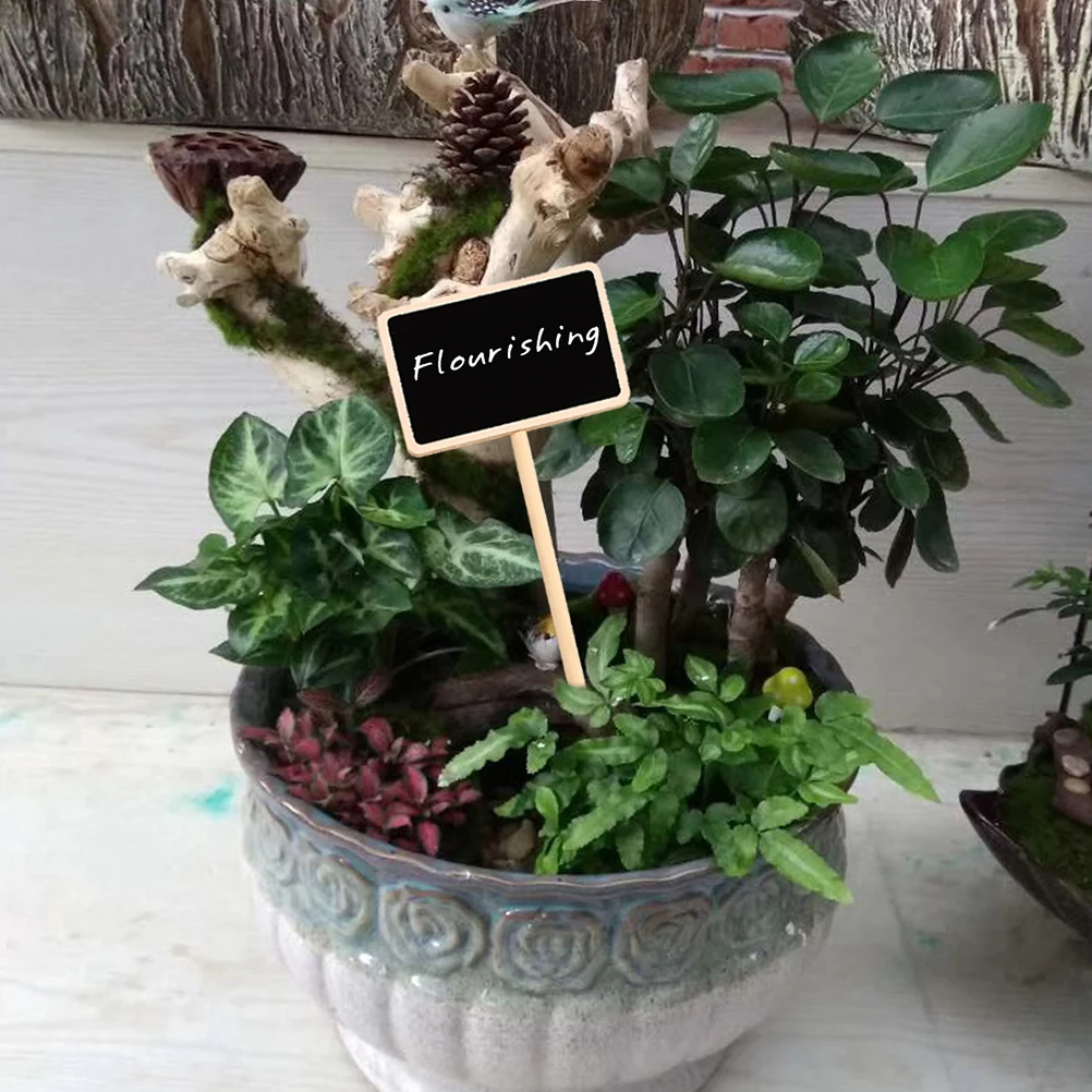 10PCS Mini Blackboard Signs Sturdy Wood Thick Chalkboard Wedding Kids Crafts Decor Label Food Buffet Memo Home Wall Sign
10PCS Mini Blackboard Signs Sturdy Wood Thick Chalkboard Wedding Kids Crafts Decor Label Food Buffet Memo Home Wall Sign