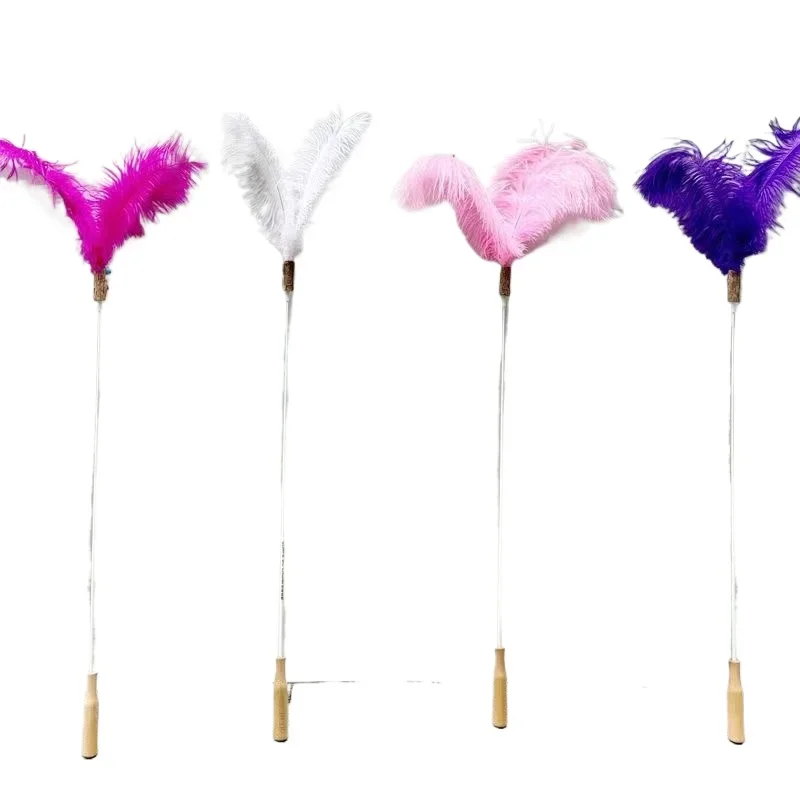 Competition-level cat teaser interactive toy
Competition-level cat teaser interactive toy