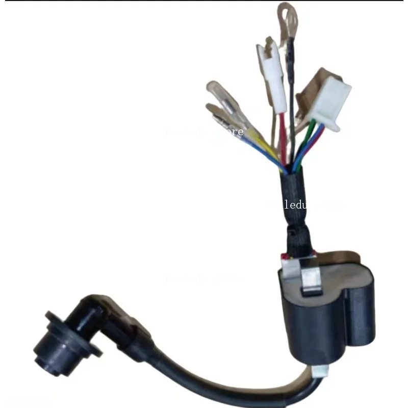 Suitable for 24V parking generator high-voltage package 148F variable frequency silent generator igniter 8-wire coil
Suitable for 24V parking generator high-voltage package 148F variable frequency silent generator igniter 8-wire coil