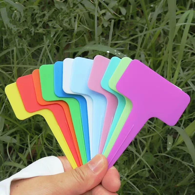 100 шт., белые пластиковые ПВХ-бирки для растений, Т-образные маркеры, этикетки для детского сада, лоток для рассады, украшения для горшков 6x10 см
100 шт., белые пластиковые ПВХ-бирки для растений, Т-образные маркеры, этикетки для детского сада, лоток для рассады, украшения для горшков 6x10 см