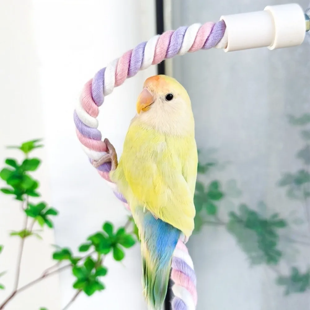 Cotton Rope DIY Bendable Perch for Birds Non-slip Easy To Install Suction Cup Bird Climbing Rope Chew-Proof Colorful
Cotton Rope DIY Bendable Perch for Birds Non-slip Easy To Install Suction Cup Bird Climbing Rope Chew-Proof Colorful