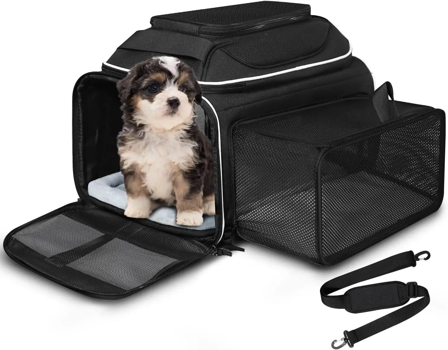 Expandable Airline-Approved Pet Carrier for Small Cats and Dogs with Safety Zippers and Mesh
Expandable Airline-Approved Pet Carrier for Small Cats and Dogs with Safety Zippers and Mesh