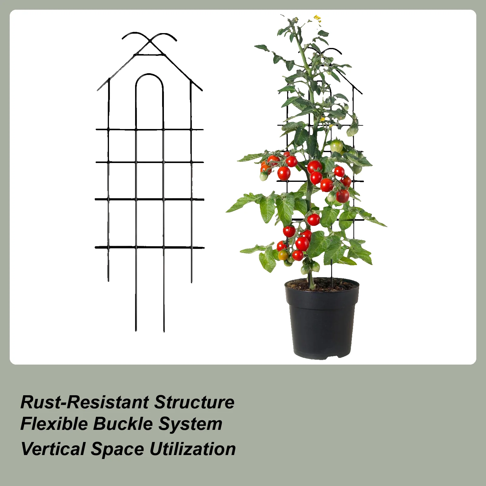 Trellis For Climbing Plants Plant Support Frame Climbing Vine Frame For Indoor Outdoor Patio Garden Greenhouse Balcony Wedding
Trellis For Climbing Plants Plant Support Frame Climbing Vine Frame For Indoor Outdoor Patio Garden Greenhouse Balcony Wedding
