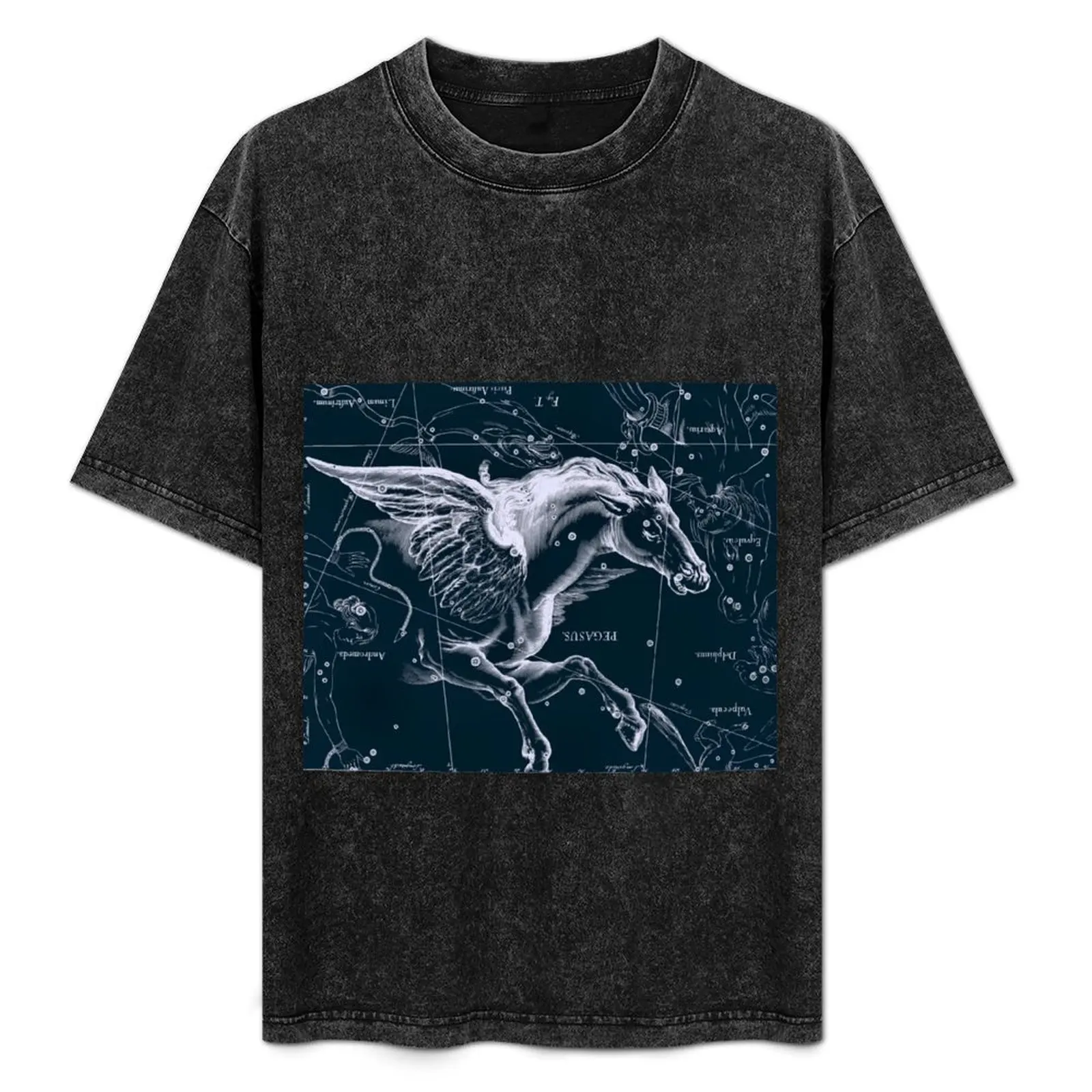 Pegasus Constellation T-Shirt Relaxed Fit Casual Short Sleeve Top
Pegasus Constellation T-Shirt Relaxed Fit Casual Short Sleeve Top