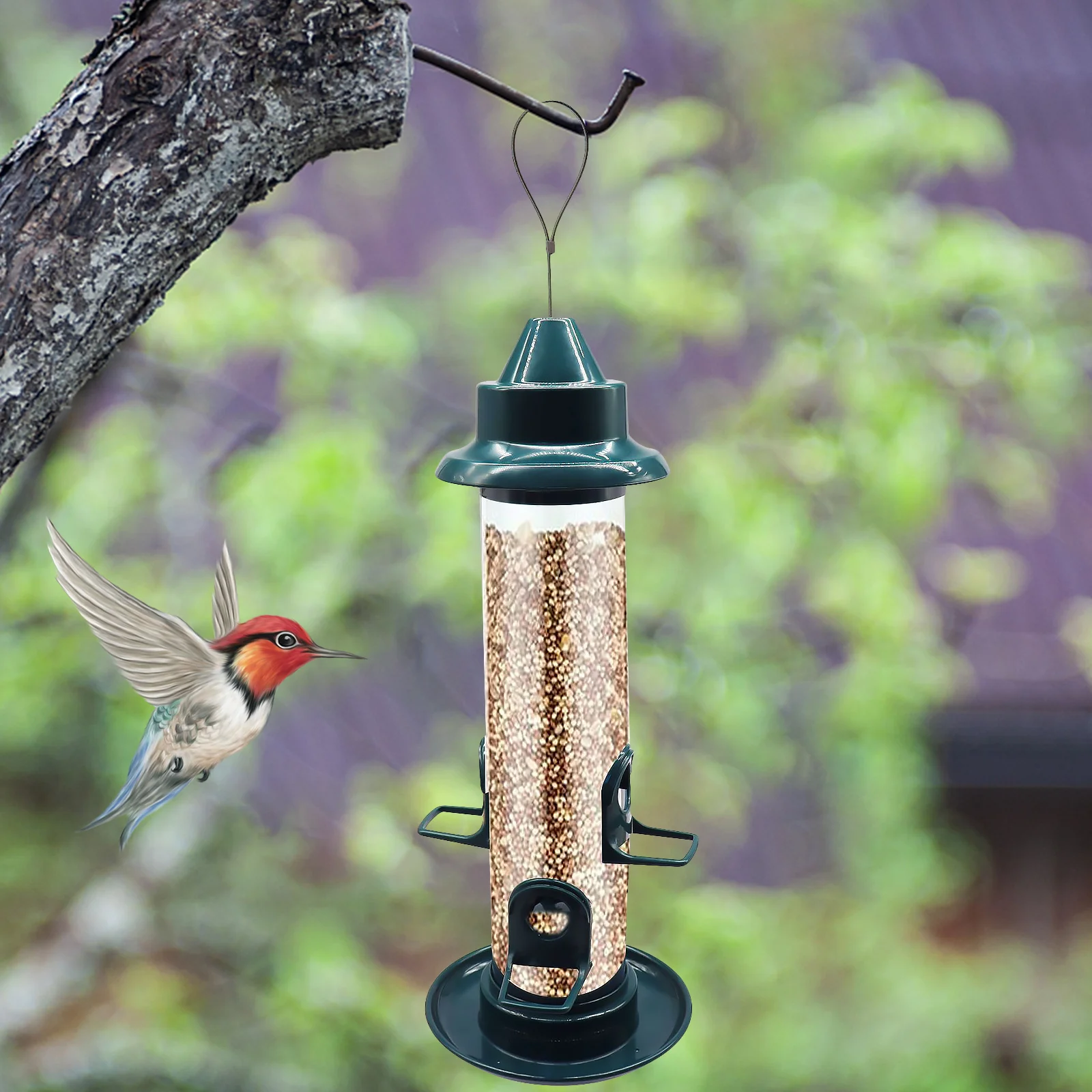 Bird Feeder for Outdoors Hanging Squirrel Proof Wild Bird Feeder with 4 Feeding Ports Tube Bird Feeder for Garden Yard
Bird Feeder for Outdoors Hanging Squirrel Proof Wild Bird Feeder with 4 Feeding Ports Tube Bird Feeder for Garden Yard