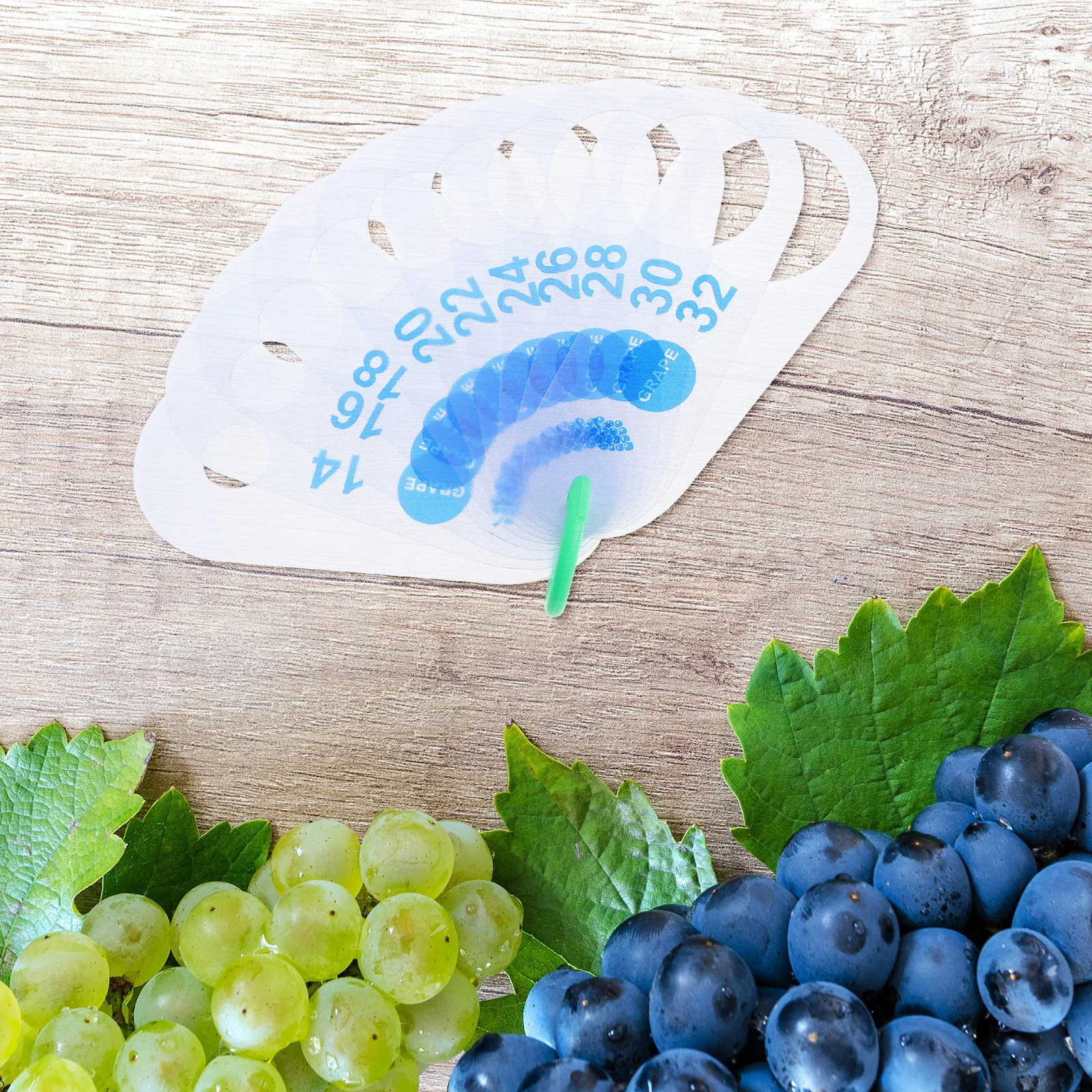 2Pcs Grape Diameter Measuring Rulers Plastic Fruit Size Gauge Tools for Sorting Grading Farmers Market Use Grape Size Gauge
2Pcs Grape Diameter Measuring Rulers Plastic Fruit Size Gauge Tools for Sorting Grading Farmers Market Use Grape Size Gauge