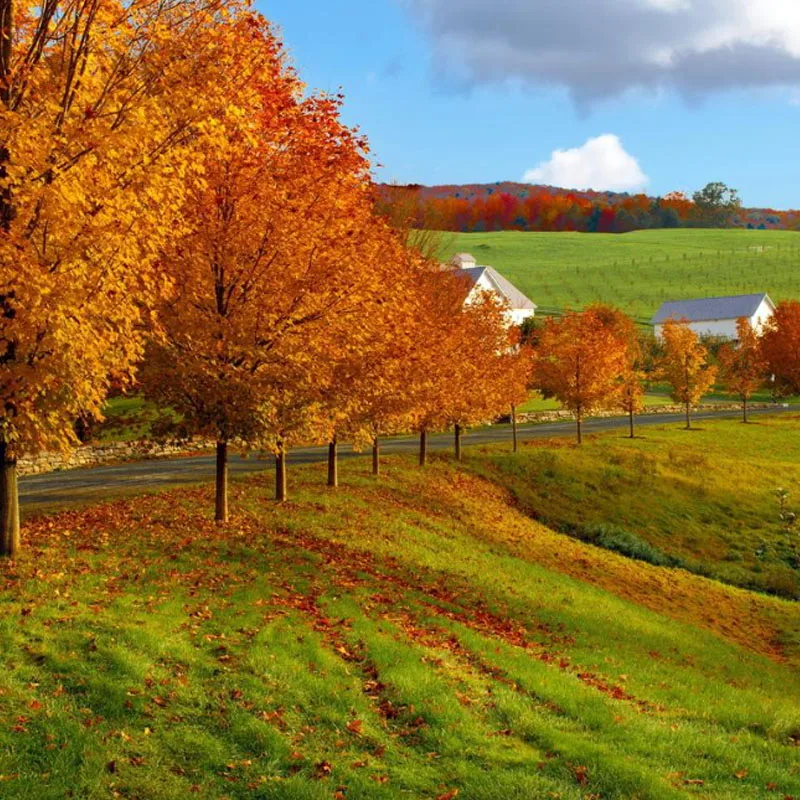 Цифровой сервопривод JX Servo PDI-HV2211MG с металлическим редуктором для радиоуправляемых самолетов, совместимый с разъемом JR
Цифровой сервопривод JX Servo PDI-HV2211MG с металлическим редуктором для радиоуправляемых самолетов, совместимый с разъемом JR