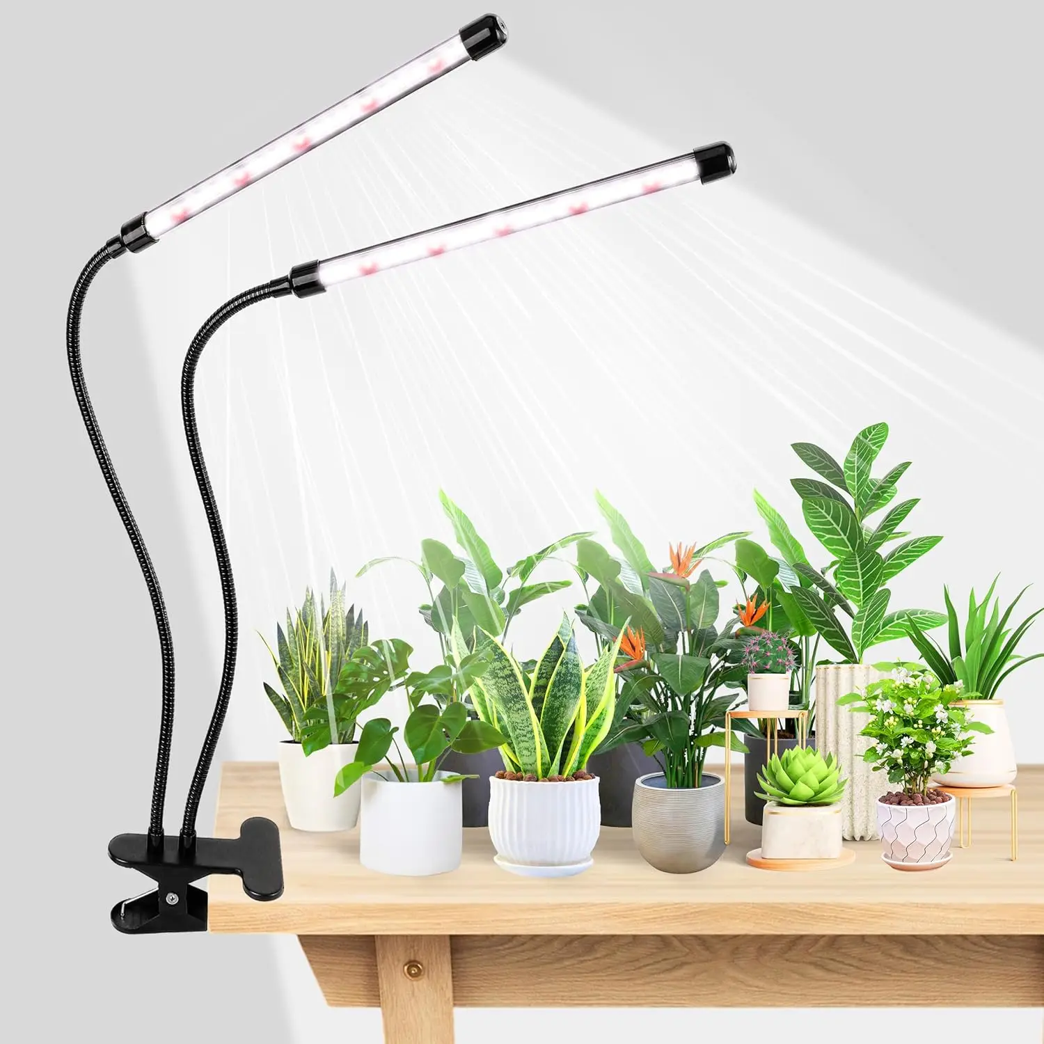 84 LED Full Spectrum Grow Light with Clip, 6500K Auto Timer for Indoor Plants
84 LED Full Spectrum Grow Light with Clip, 6500K Auto Timer for Indoor Plants