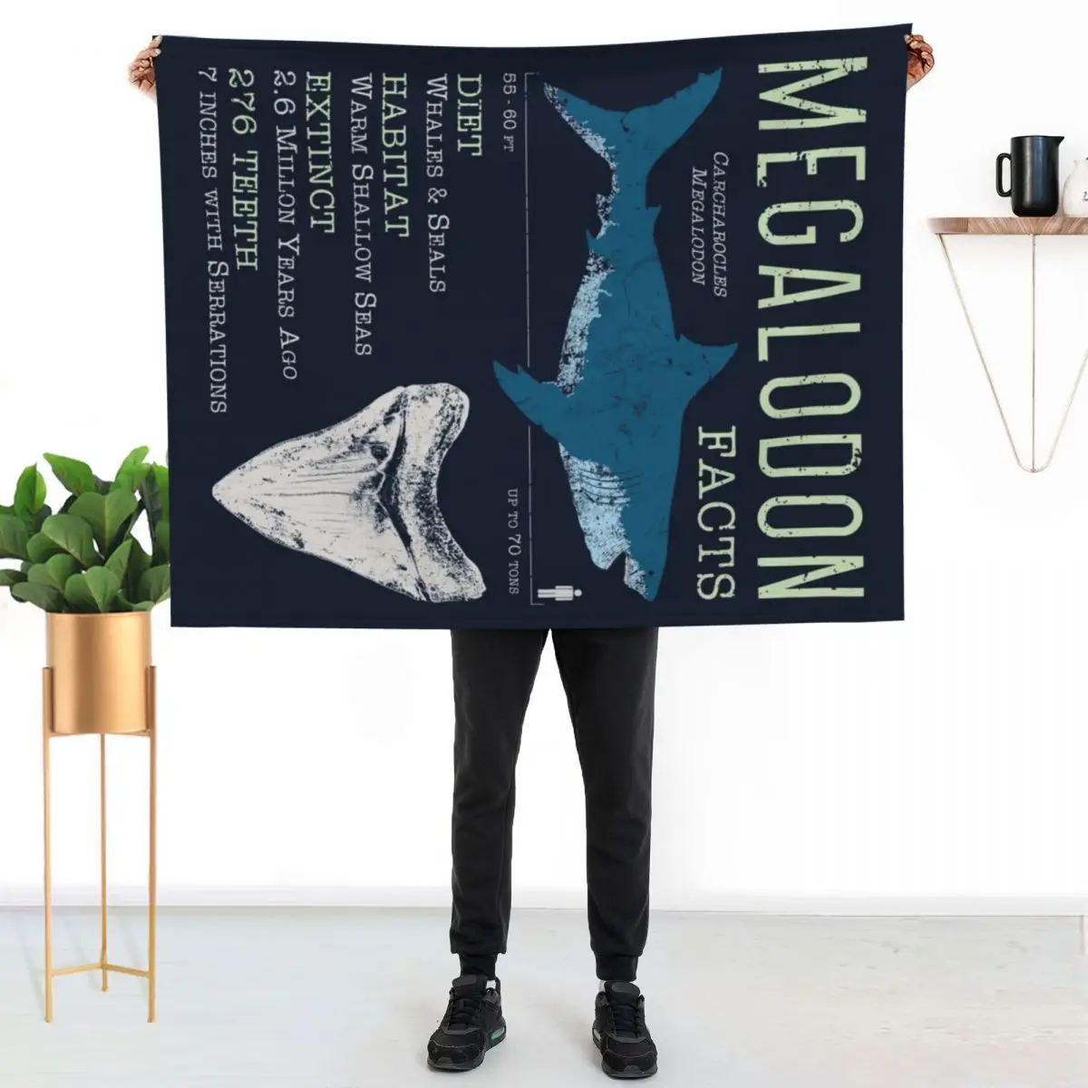 Megalodon Facts Throw Blanket Warm Throw Blanket Gift for Anniversary
Megalodon Facts Throw Blanket Warm Throw Blanket Gift for Anniversary