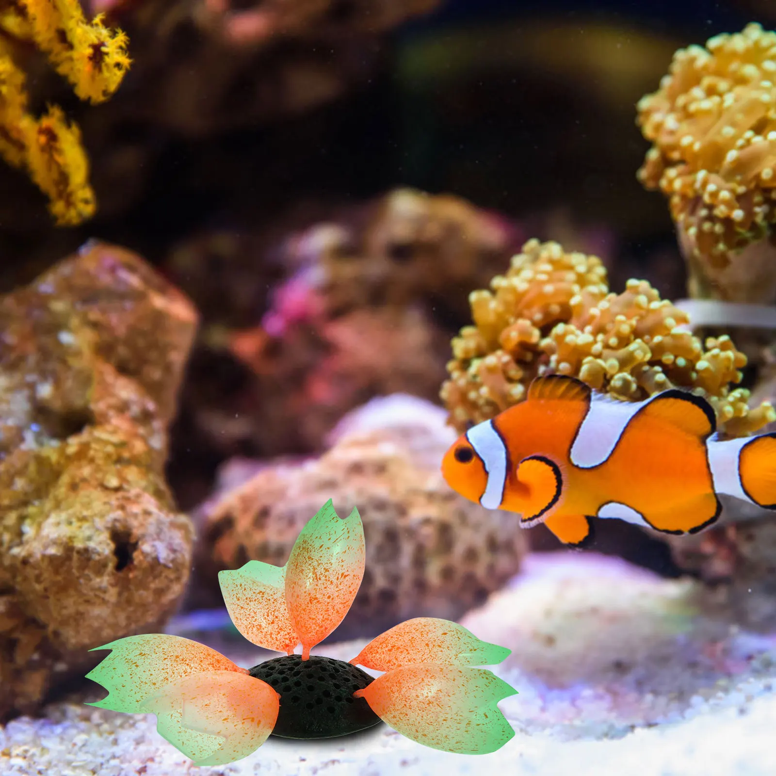 Glowing Ornament Aquarium Decor Fish Tank Decoration Silicone Artificial Coral Craft Fake Plant Decorative Mini Coral Fish Tank
Glowing Ornament Aquarium Decor Fish Tank Decoration Silicone Artificial Coral Craft Fake Plant Decorative Mini Coral Fish Tank