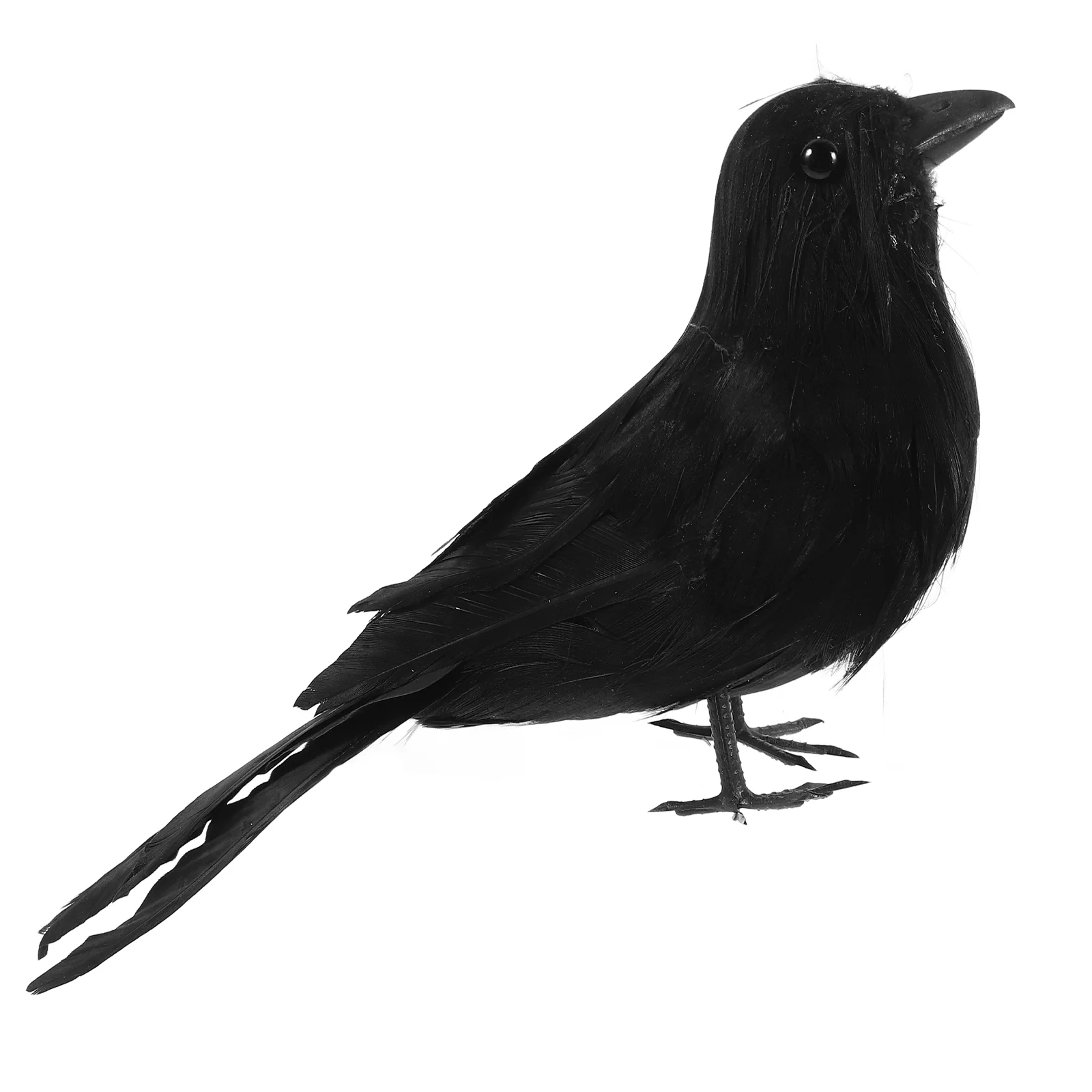 Artificial Crow Black Bird Prop Decor For Halloween Display Crow Prop Artificial Crow Bird Prop
Artificial Crow Black Bird Prop Decor For Halloween Display Crow Prop Artificial Crow Bird Prop