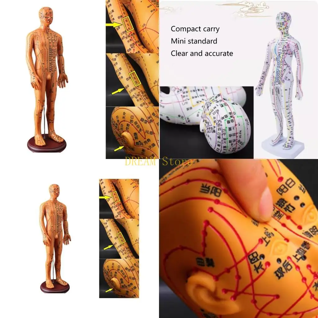 Модель акупунктуры человека с китайской точкой для акупрессуры и акупунктуры, лучшая распродажа
Модель акупунктуры человека с китайской точкой для акупрессуры и акупунктуры, лучшая распродажа
