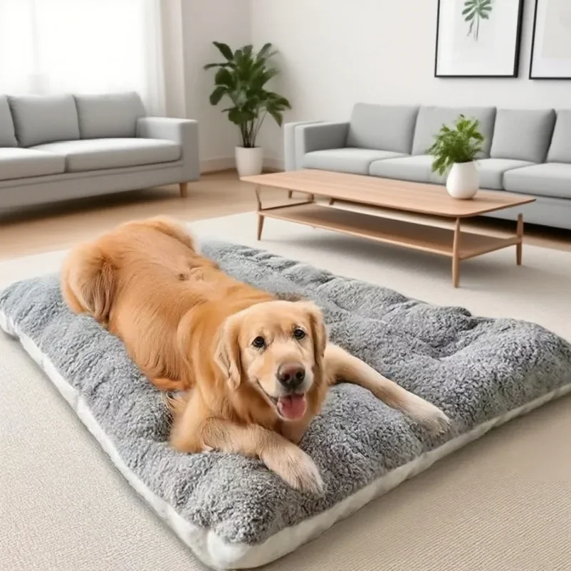 Extra Large Plush Dog Bed Sofa Thickened Super Soft Polyester Pet Mat Dog Crate Mat Bed For Small Medium Large Dog Bed
Extra Large Plush Dog Bed Sofa Thickened Super Soft Polyester Pet Mat Dog Crate Mat Bed For Small Medium Large Dog Bed