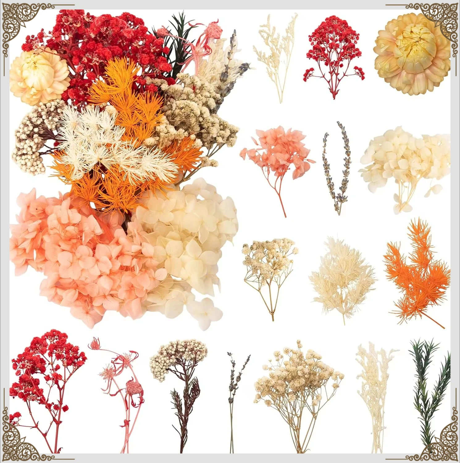 Natural Dried Flowers Set for Art DIY Resin Scrapbooking Crafts Handmade Cards Making DIY Craft Supplies Dried Flower Material
Natural Dried Flowers Set for Art DIY Resin Scrapbooking Crafts Handmade Cards Making DIY Craft Supplies Dried Flower Material