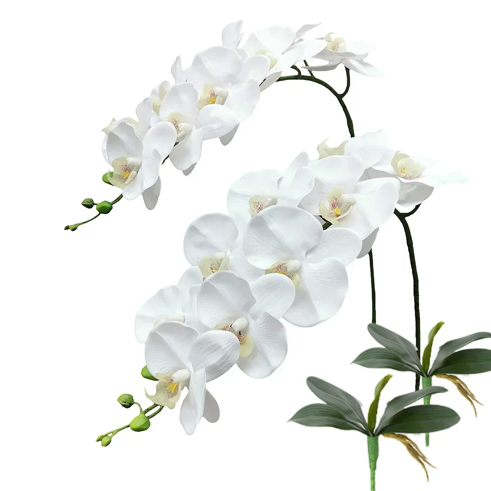 69cm Artificial Phalaenopsis Flower Branches Real Faux Orchid Stems Floral Arrangement Wedding Party Home Decoration
69cm Artificial Phalaenopsis Flower Branches Real Faux Orchid Stems Floral Arrangement Wedding Party Home Decoration