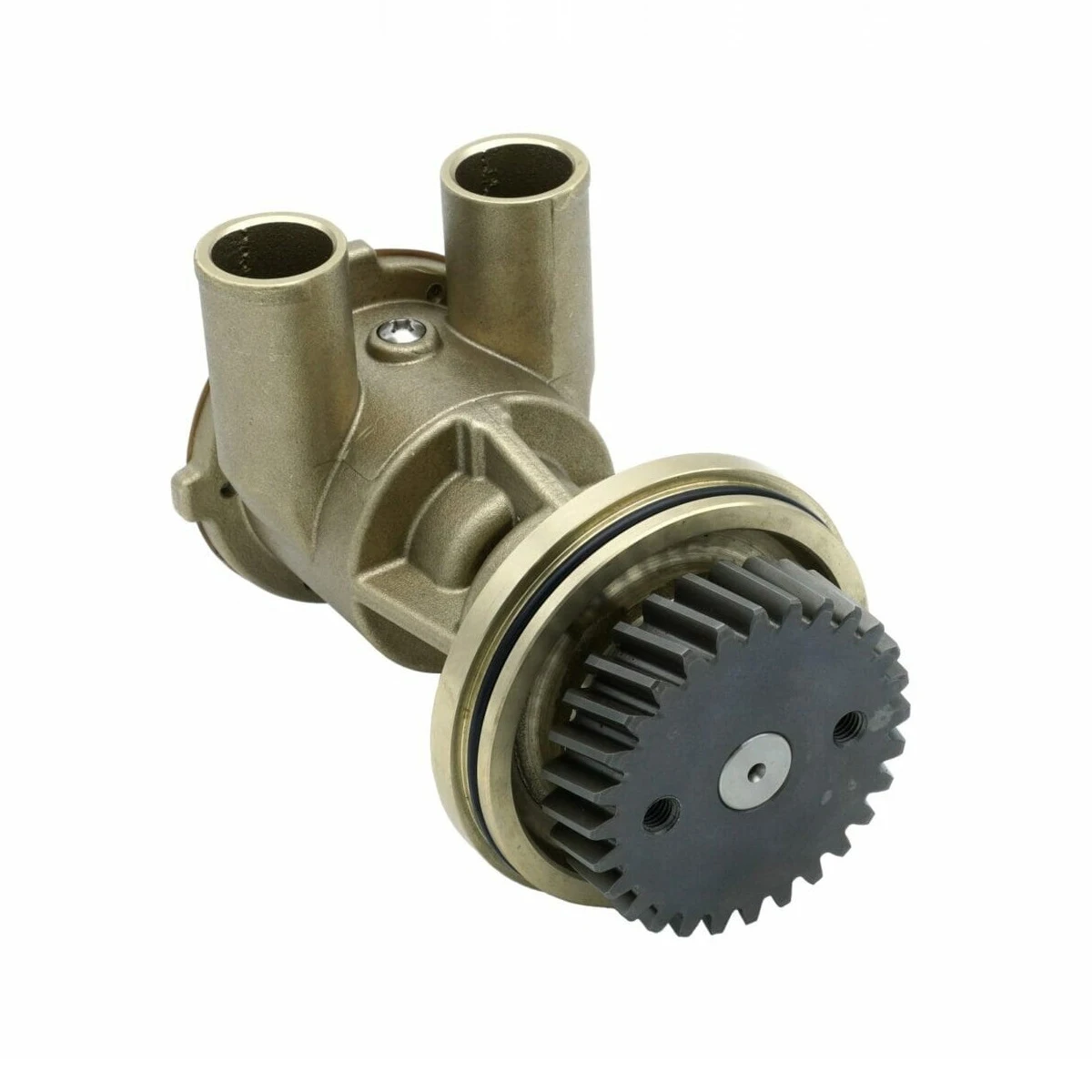 Sea Water Pump Replacement Kit for CAT ENGINE 3054 3054B Marine 4255411 425-5411
Sea Water Pump Replacement Kit for CAT ENGINE 3054 3054B Marine 4255411 425-5411