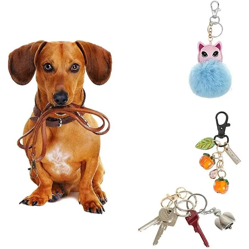 P9FE 100Pcs Versatile Rings Hooks Keychain Making Set Lobster Clasps and Rings Metal Craft Clip
P9FE 100Pcs Versatile Rings Hooks Keychain Making Set Lobster Clasps and Rings Metal Craft Clip