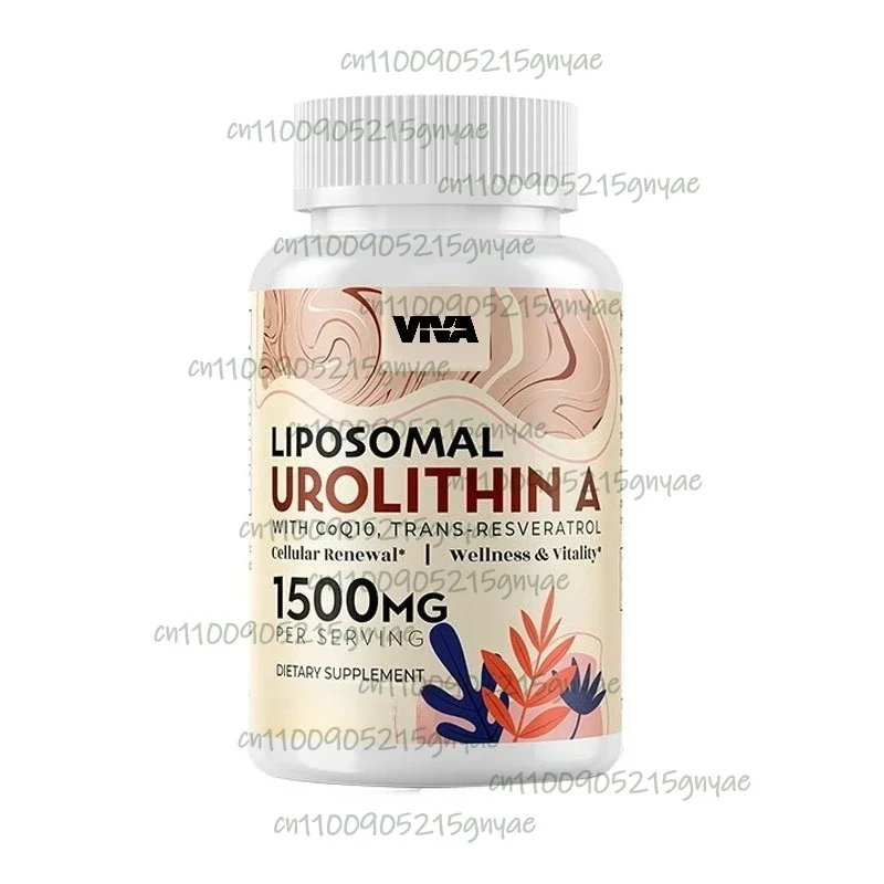 Urolithin A Капсулы - 1000 мг, 60 капсул для улучшенного сотового здоровья и жизненной силы, здоровое старение, ультратонкий порошок 60000 мг.
Urolithin A Капсулы - 1000 мг, 60 капсул для улучшенного сотового здоровья и жизненной силы, здоровое старение, ультратонкий порошок 60000 мг.