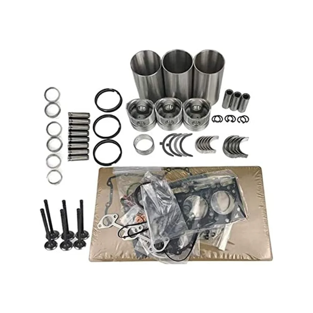 D1101 Overhaul Rebuild Kit for Kubota Engine Tractor L245 L2201
D1101 Overhaul Rebuild Kit for Kubota Engine Tractor L245 L2201