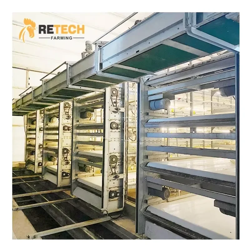 H Type Chicken Broiler Cages with Automatic Poultry Feeding Equipment for Broilers
H Type Chicken Broiler Cages with Automatic Poultry Feeding Equipment for Broilers