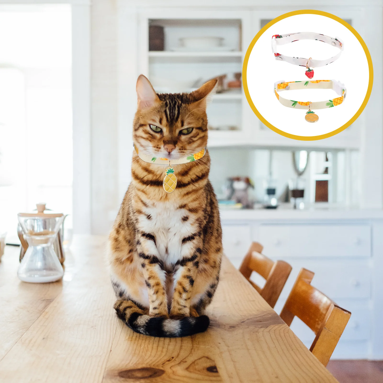 2Pcs Pet Collars Adjustable Cat Collar with Pattern Anti Lost Comfortable for Daily Use and Parties
2Pcs Pet Collars Adjustable Cat Collar with Pattern Anti Lost Comfortable for Daily Use and Parties