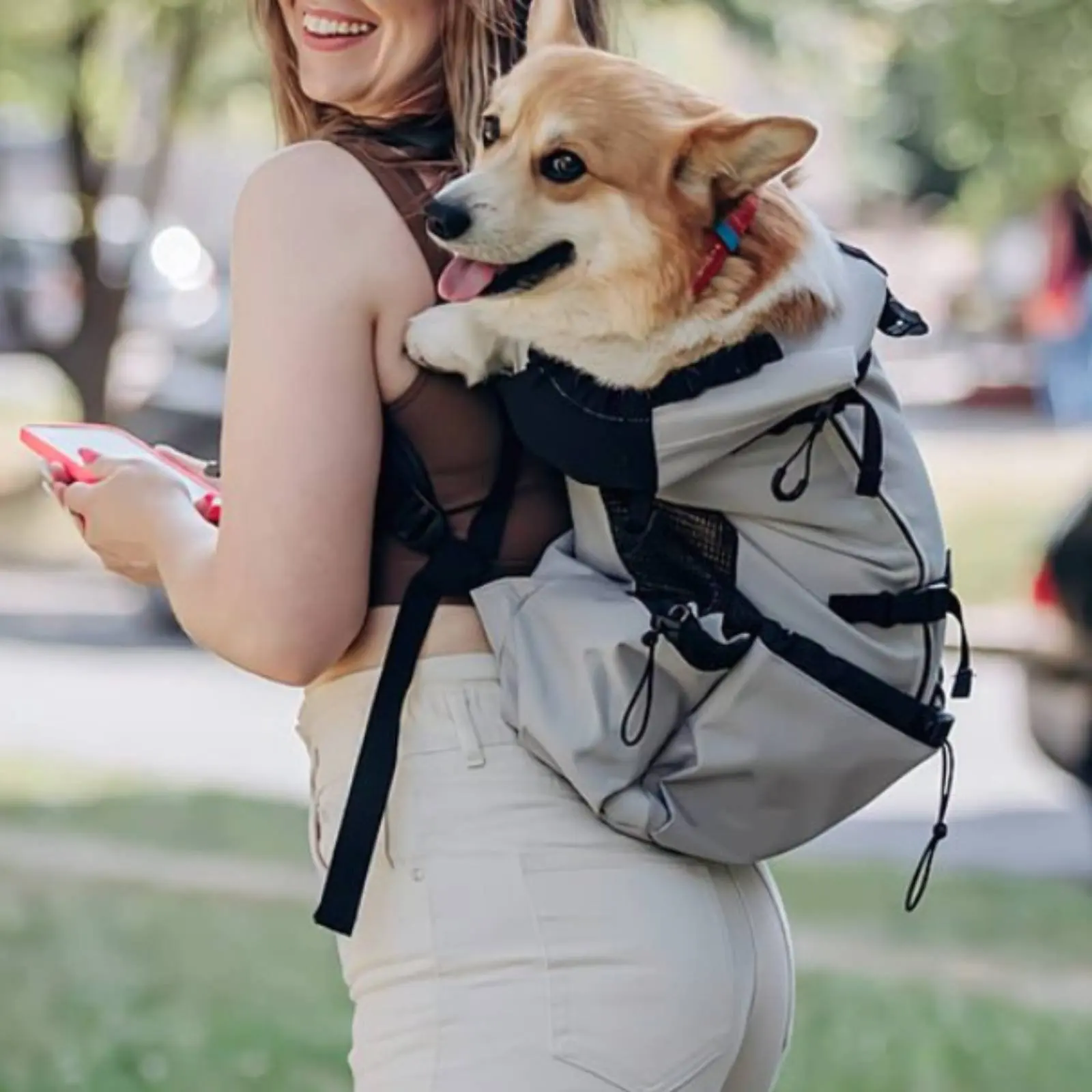 Dog Chest Carrier Easy to Carry Dog Travel Backpack Pet Backpack Carrier Lightweight Adjustable Straps for Outdoor
Dog Chest Carrier Easy to Carry Dog Travel Backpack Pet Backpack Carrier Lightweight Adjustable Straps for Outdoor