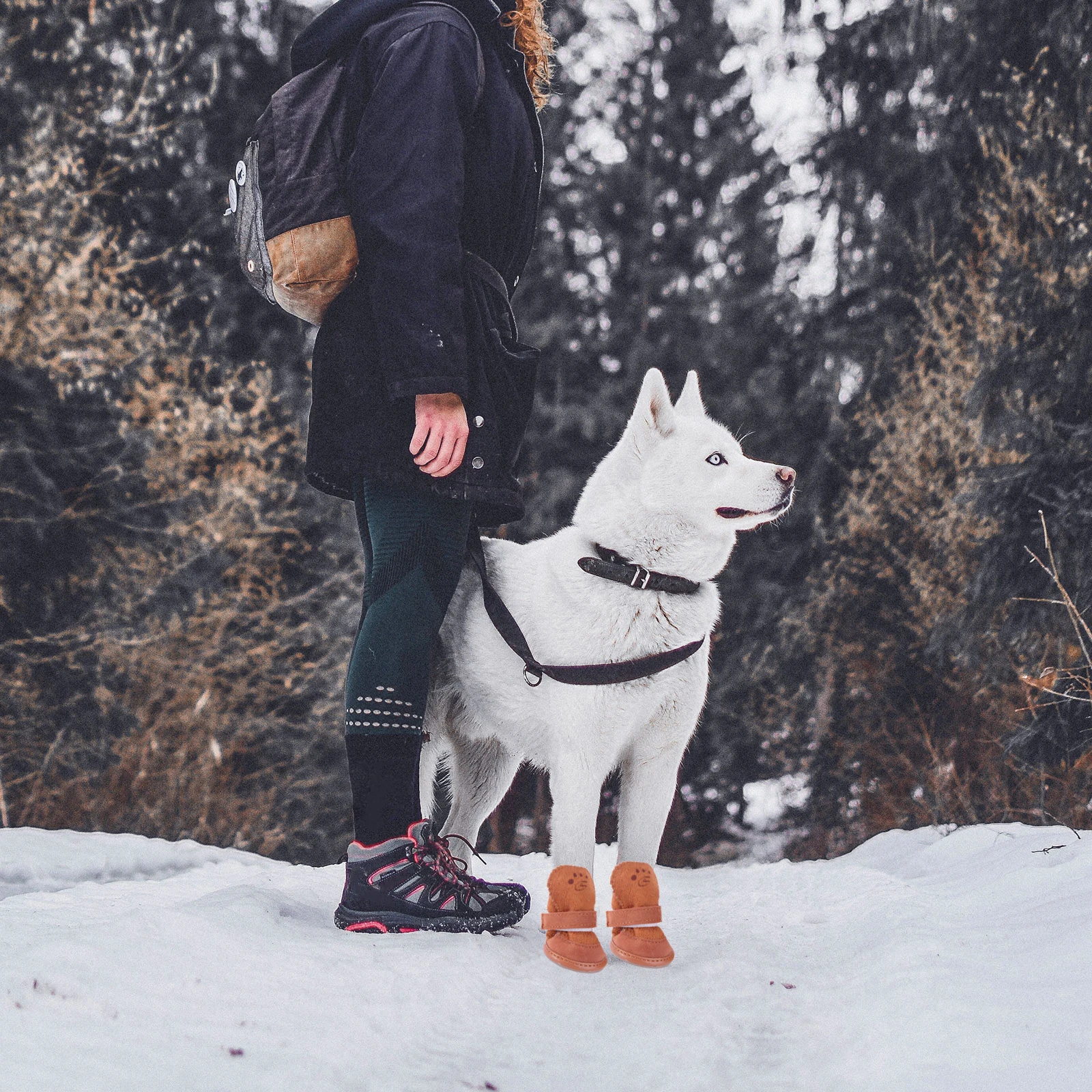 4pcs Dog Hiking Boots Winter Pet Snow Shoes Anti-Slip Fleece Lined Warm Waterproof Outdoor Puppy Shoes Size Xxl Coffee
4pcs Dog Hiking Boots Winter Pet Snow Shoes Anti-Slip Fleece Lined Warm Waterproof Outdoor Puppy Shoes Size Xxl Coffee