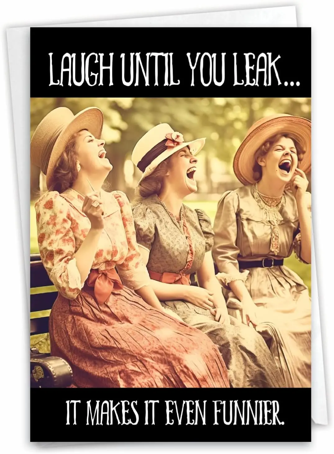 Humorous Birthday Greeting Card with 5 x 7 Inch Envelope (1 Card) Bday Laugh Until You Leak C10065BDG
Humorous Birthday Greeting Card with 5 x 7 Inch Envelope (1 Card) Bday Laugh Until You Leak C10065BDG