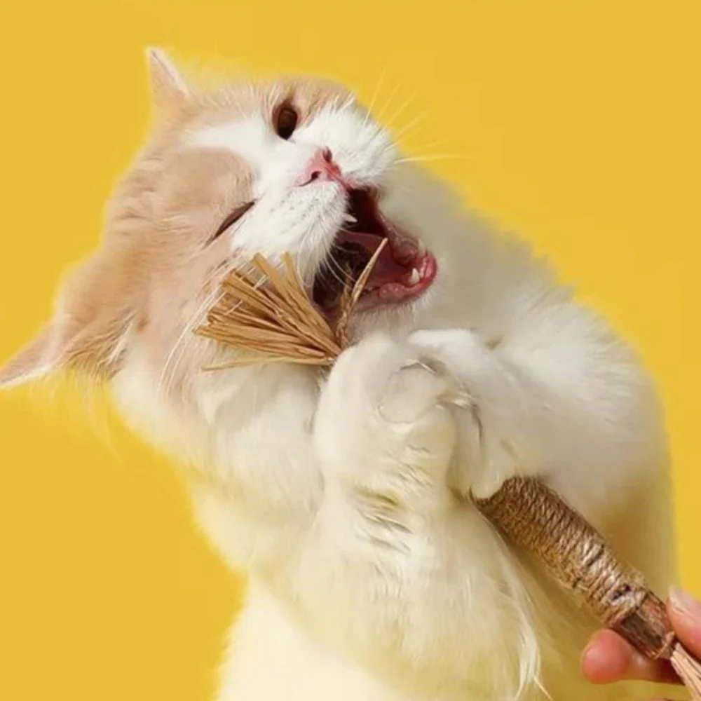 23CM Pet Cat Chew Stick Teaser Training Toy Scrapers for Cats Kitty Teeth Relief Cleaning Grinding Natural Wooden Tool supplies
23CM Pet Cat Chew Stick Teaser Training Toy Scrapers for Cats Kitty Teeth Relief Cleaning Grinding Natural Wooden Tool supplies