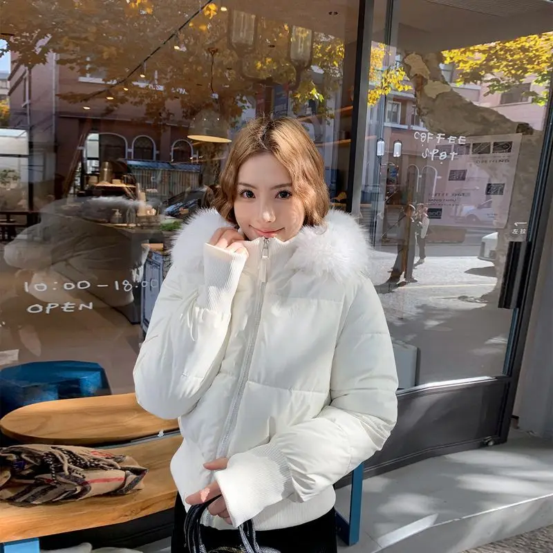Gentle wind pink fur collar hooded cotton coat for women winter new Korean style thickened and warm short waisted cotton
Gentle wind pink fur collar hooded cotton coat for women winter new Korean style thickened and warm short waisted cotton