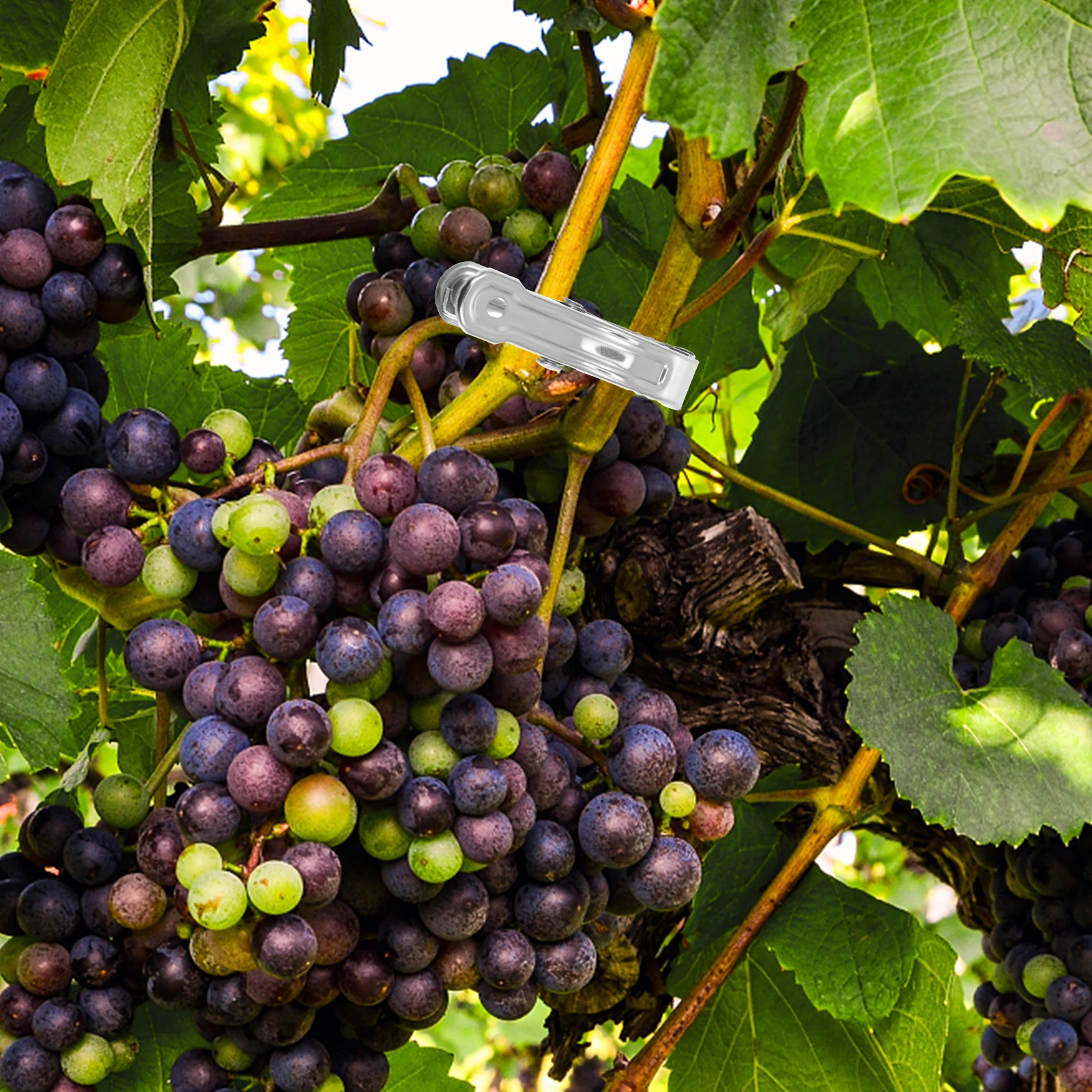 60Pcs Metal Windproof Quilt Clips Strong Grip Household Clothes Clips for Underwear Pants Towels Skirts Outdoor Clothes Clamp
60Pcs Metal Windproof Quilt Clips Strong Grip Household Clothes Clips for Underwear Pants Towels Skirts Outdoor Clothes Clamp