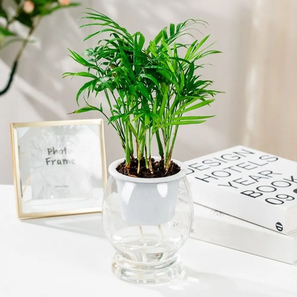 Fashion Self Watering Hydroponic Plants Pot Plastic Removable Mini Succulent Planter Tabletop Vase Office Bonsai Decor
Fashion Self Watering Hydroponic Plants Pot Plastic Removable Mini Succulent Planter Tabletop Vase Office Bonsai Decor