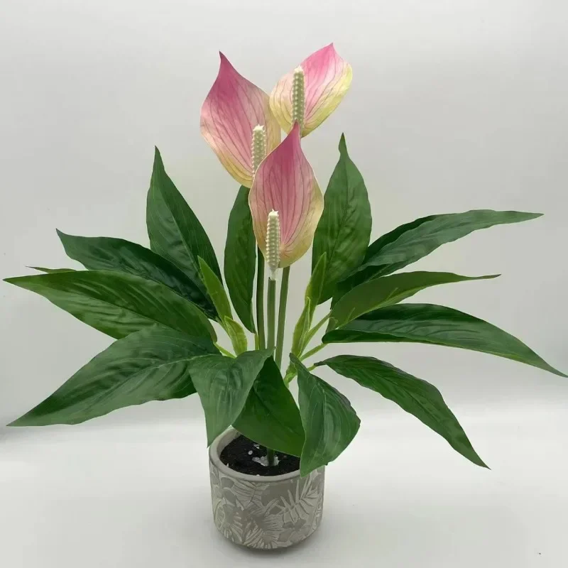 Artificial Green Plants Fake Anthurium Potted Plants Desktop Ornaments Home Decoration Wedding Venue Decoration Fake Flowers
Artificial Green Plants Fake Anthurium Potted Plants Desktop Ornaments Home Decoration Wedding Venue Decoration Fake Flowers