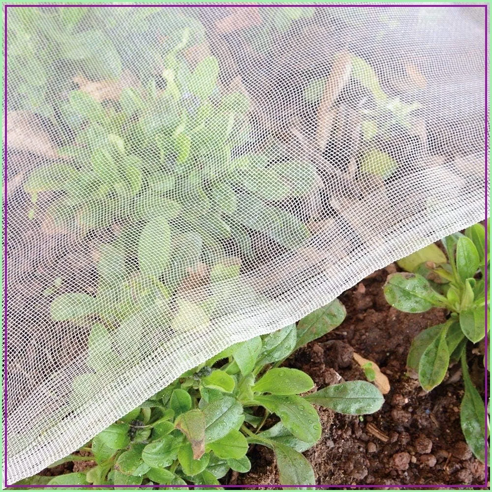 Fine Bug Netting 10x20ft Garden Pest Barrier, Insect Mesh for Plants Vegetables Fruits
Fine Bug Netting 10x20ft Garden Pest Barrier, Insect Mesh for Plants Vegetables Fruits