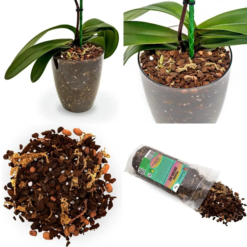 Премиум-смесь для орхидей - Смесь сфагнума ручной работы для орхидей фаленопсис - 10 кварт (2 x 5 кварт)
Премиум-смесь для орхидей - Смесь сфагнума ручной работы для орхидей фаленопсис - 10 кварт (2 x 5 кварт)