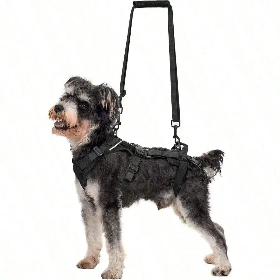 Dog Lift Harn For Small Dogs XS Dog Sling Carrier For Small Dogs Full Body Lift Harn With Reflective Straps Dog Port Harn For Ba
Dog Lift Harn For Small Dogs XS Dog Sling Carrier For Small Dogs Full Body Lift Harn With Reflective Straps Dog Port Harn For Ba