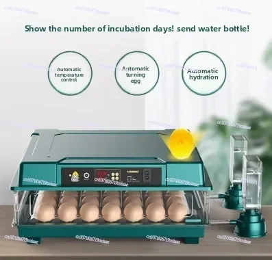 Water Ionic Waterbed Replenishment And Temperature Control Automatic Eggs Incubator With Drawer Type Mini With Automatic
Water Ionic Waterbed Replenishment And Temperature Control Automatic Eggs Incubator With Drawer Type Mini With Automatic