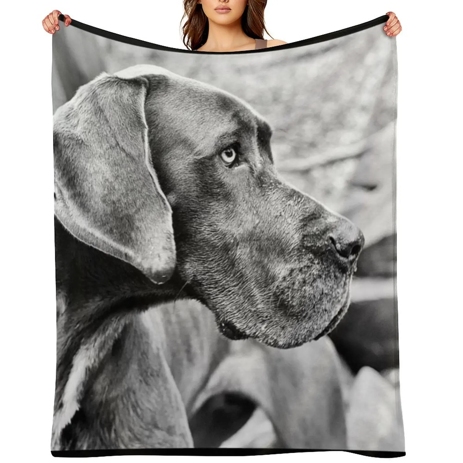Blue Black Great Dane Throw Blanket Multi-Purpose Comforter Single for babies Blankets
Blue Black Great Dane Throw Blanket Multi-Purpose Comforter Single for babies Blankets
