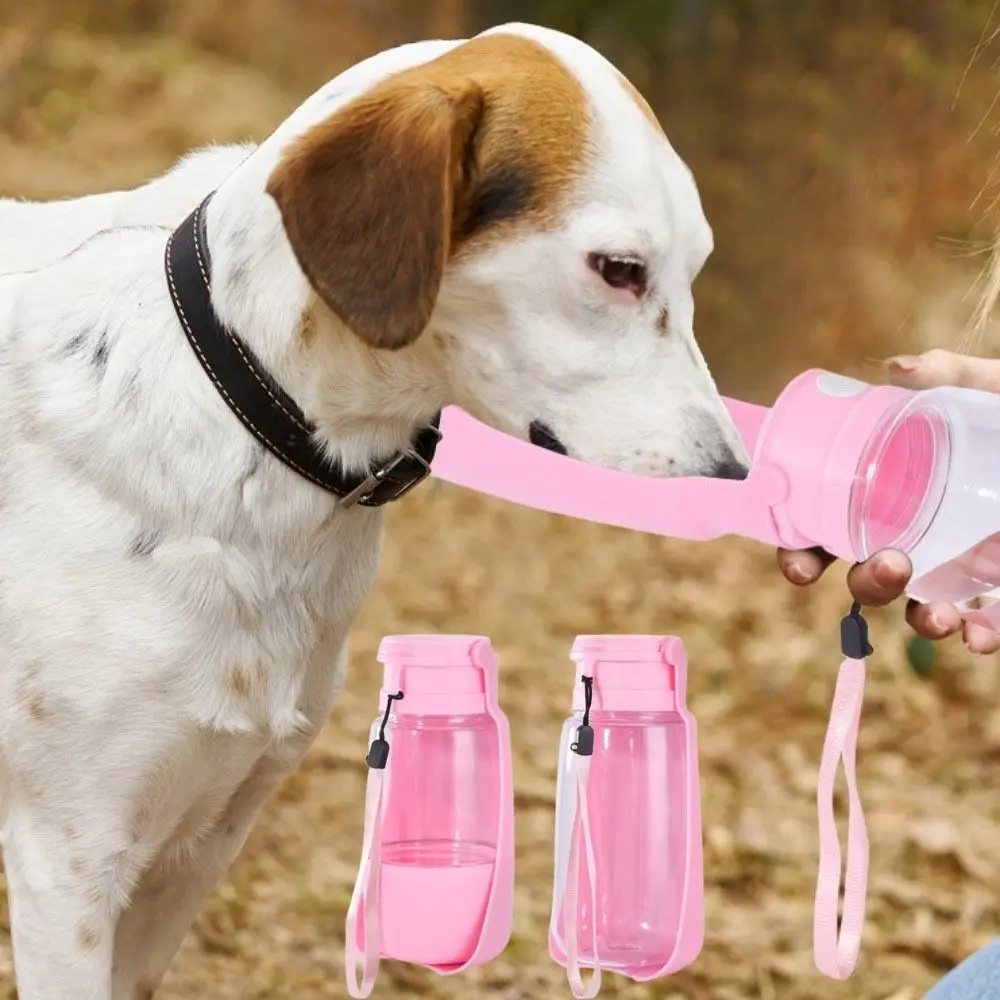 Foldable Portable Dog Water Bottle 350/500ml Leak Proof Pet Water Dispenser Drinking Cup 2 in 1 Cat Drinking Bowl for Outdoor
Foldable Portable Dog Water Bottle 350/500ml Leak Proof Pet Water Dispenser Drinking Cup 2 in 1 Cat Drinking Bowl for Outdoor