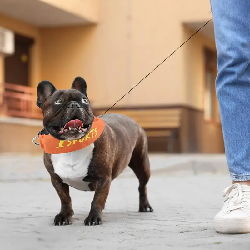Retractable Leashes And Collar Flexible Adjustable Dog Collar Walking Leashes Safe Dog Tape For Pet Dog Puppy
Retractable Leashes And Collar Flexible Adjustable Dog Collar Walking Leashes Safe Dog Tape For Pet Dog Puppy
