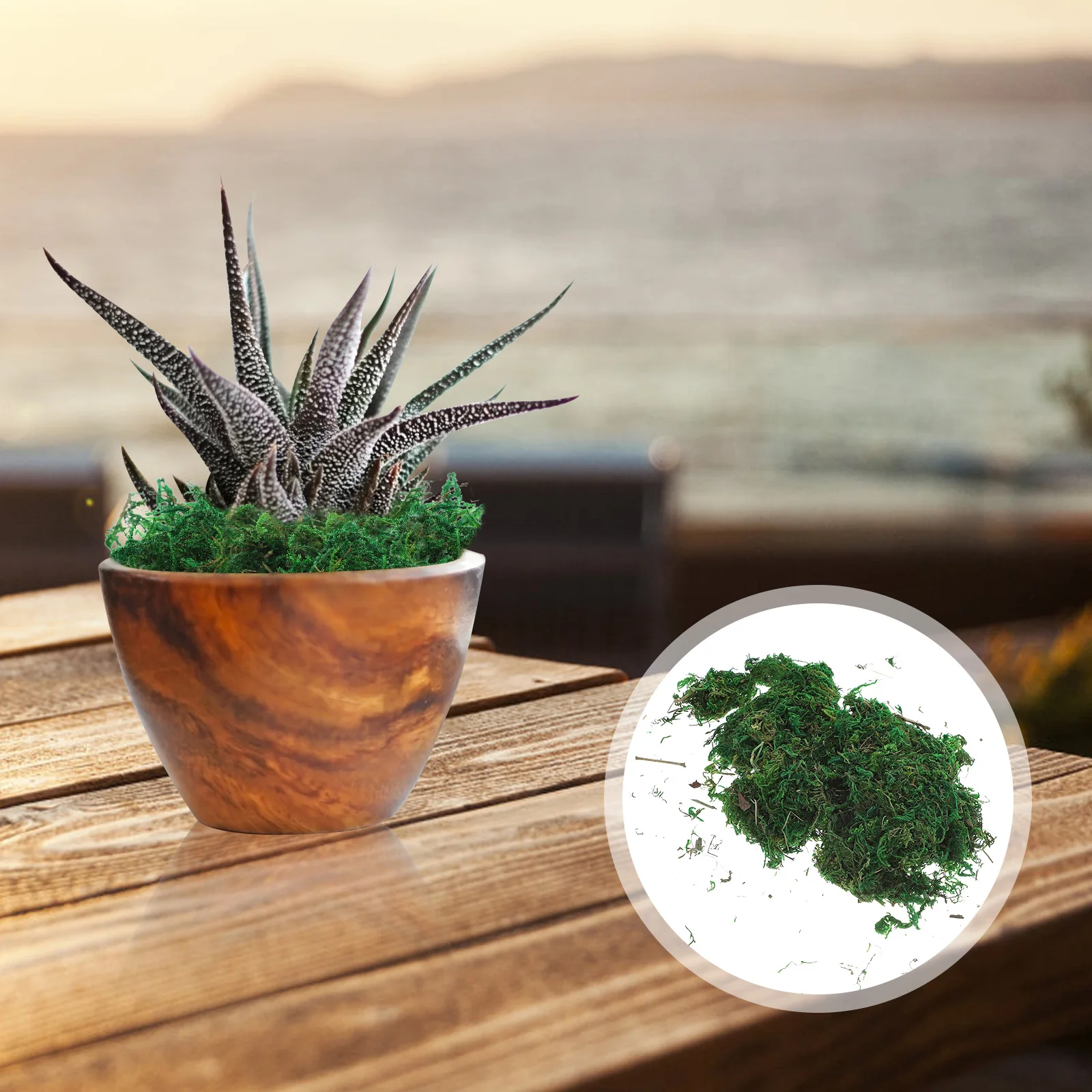 Artificial Plants Faux Moss Decoration Simulated Greenery for Flowerpot Bonsai Mini Landscaping Scenery Model Lifelike
Artificial Plants Faux Moss Decoration Simulated Greenery for Flowerpot Bonsai Mini Landscaping Scenery Model Lifelike