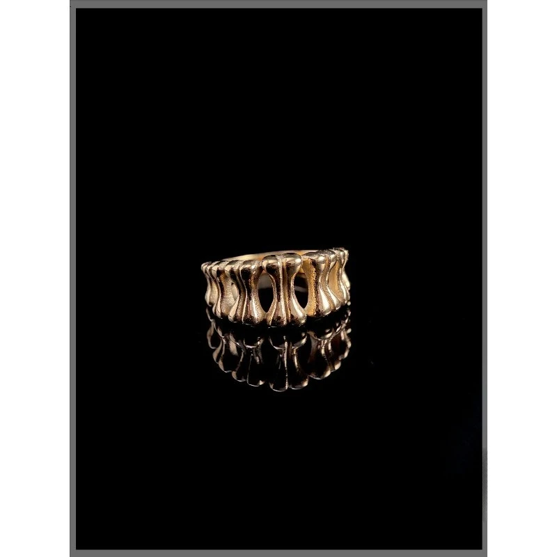 Gold Bone Knot Titanium Steel Ring Female Niche Design Jewelry Couple Boy Tail Ring Goth Style Accessories Punk
Gold Bone Knot Titanium Steel Ring Female Niche Design Jewelry Couple Boy Tail Ring Goth Style Accessories Punk