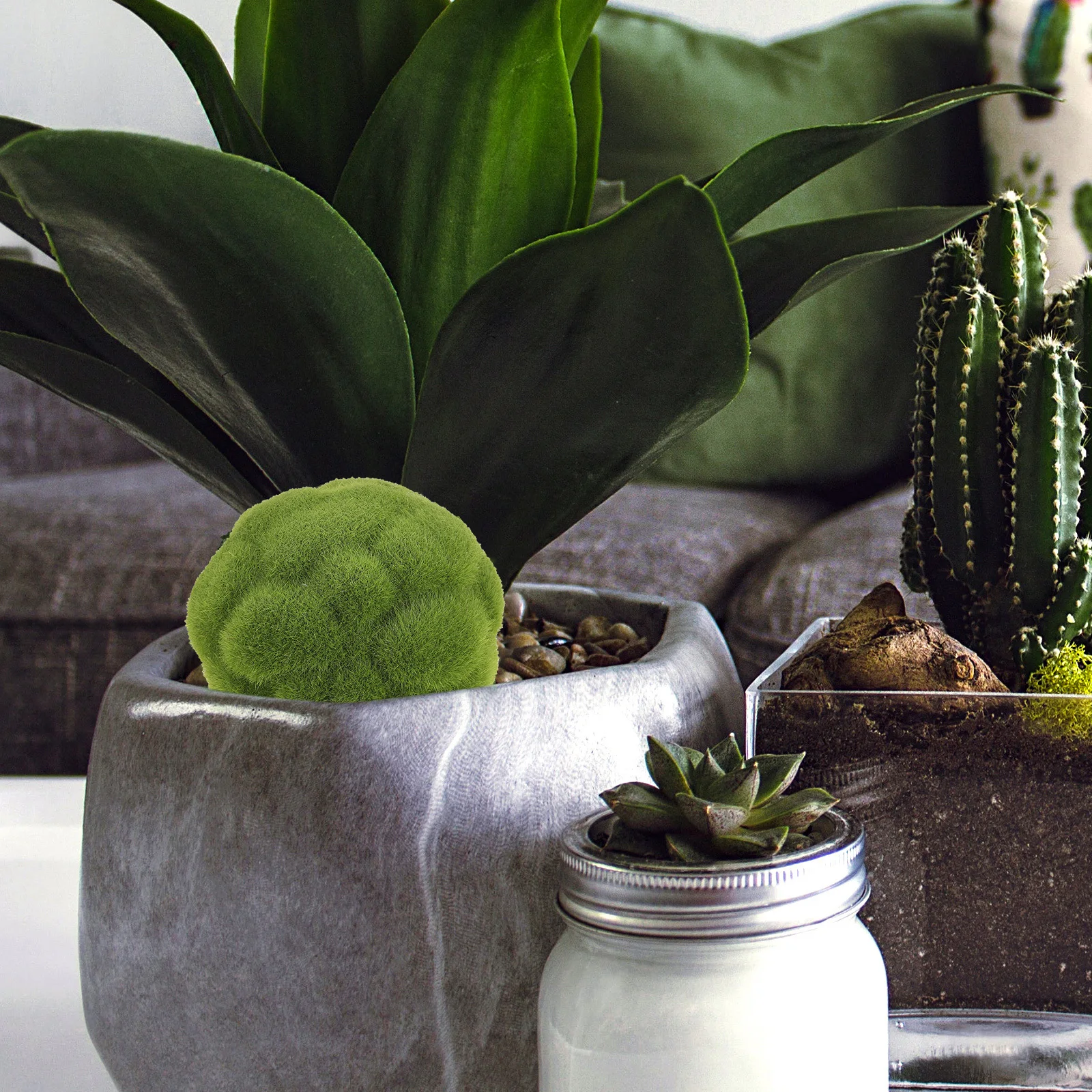 2Pcs Faux balls Decorative Green Flocking Ornament for Planters Bowl Centerpiece Filler Home Garden Wedding Party Decor
2Pcs Faux balls Decorative Green Flocking Ornament for Planters Bowl Centerpiece Filler Home Garden Wedding Party Decor