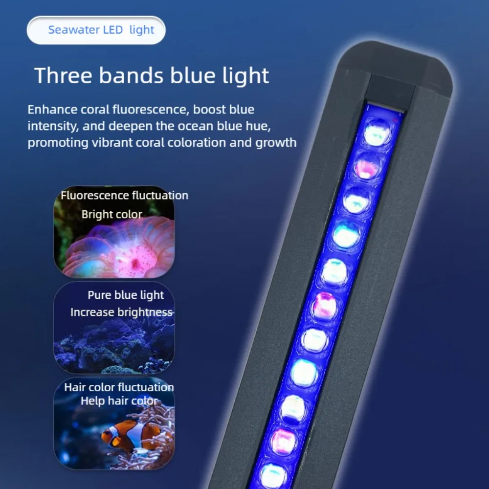Dimmable Saltwater Aquarium LED Light Sunrise Sunset Moonlight Modes LED Reef Light with Timer for LPS SPS Corals Seawater Tank
Dimmable Saltwater Aquarium LED Light Sunrise Sunset Moonlight Modes LED Reef Light with Timer for LPS SPS Corals Seawater Tank