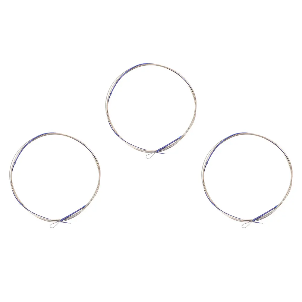 3 Pcs Pipa Strings Chinese Lute Parts Steel Wire Professional Metal Accessories
3 Pcs Pipa Strings Chinese Lute Parts Steel Wire Professional Metal Accessories