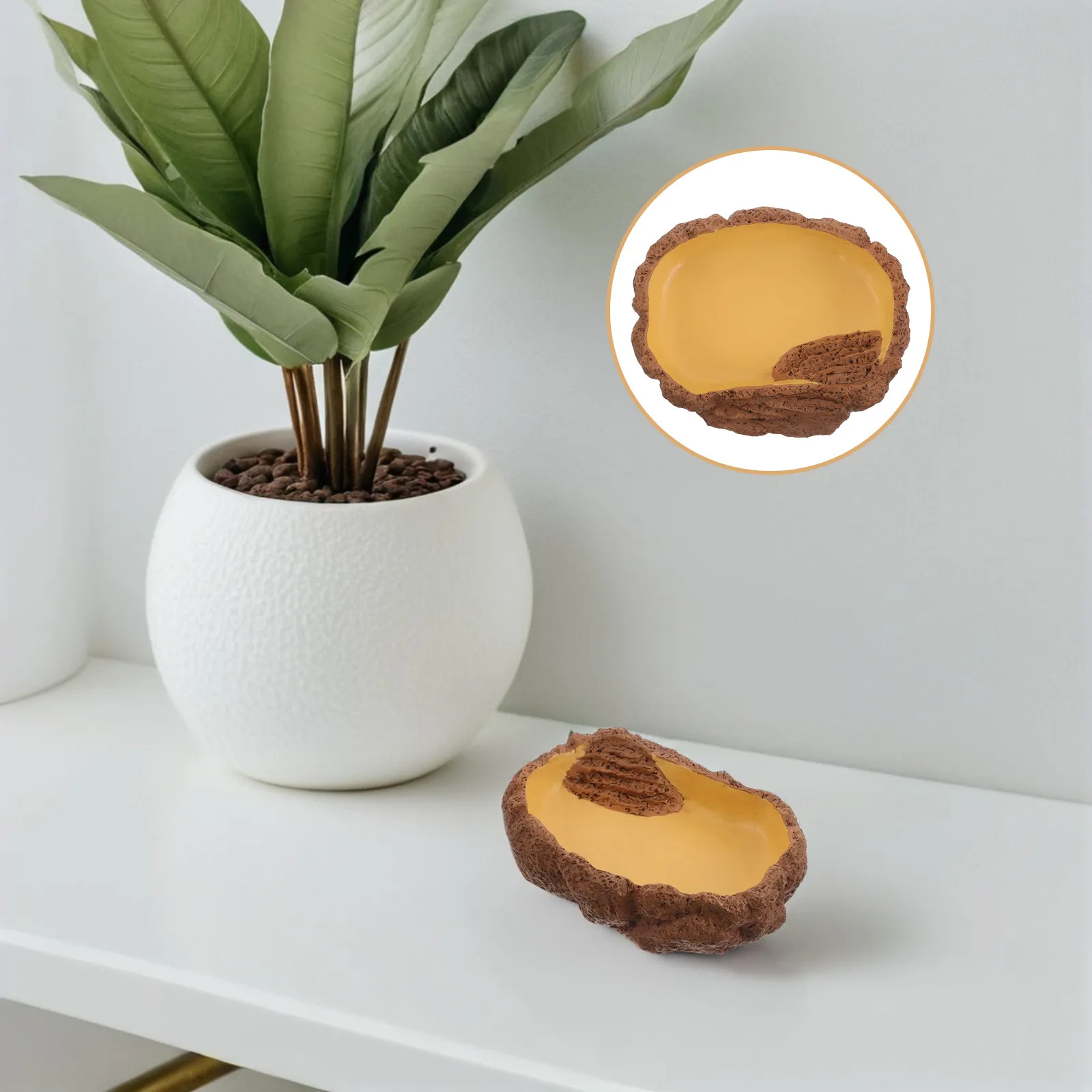 Reptile Feeding Dish Corner Bowl with Ramp Design Deep Water Food Bowl for Bearded Dragon Lizard Frog Gecko Tortoise Hermit Crab
Reptile Feeding Dish Corner Bowl with Ramp Design Deep Water Food Bowl for Bearded Dragon Lizard Frog Gecko Tortoise Hermit Crab