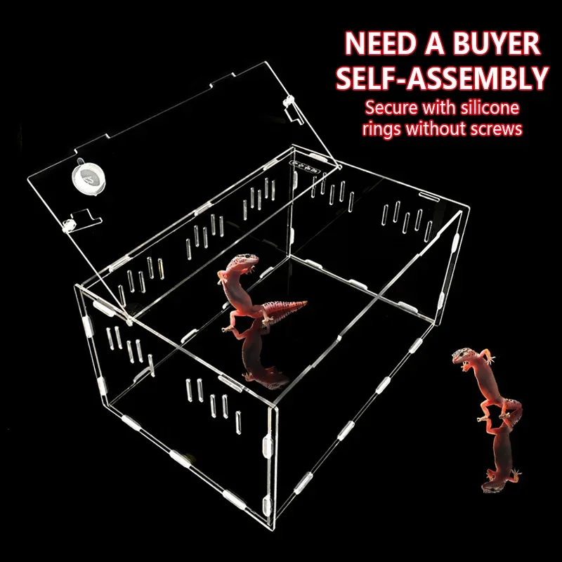 Amphibians Breeding Box Acrylic Transparent Anti Escape Box Lizard Kennel Turtle Crab Hamster Habitat Reptiles Accessories
Amphibians Breeding Box Acrylic Transparent Anti Escape Box Lizard Kennel Turtle Crab Hamster Habitat Reptiles Accessories