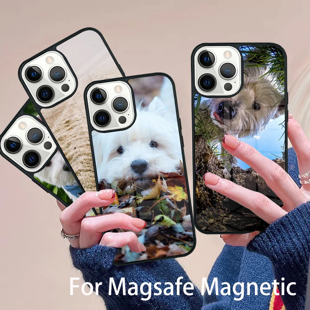West Highland Terrier Westie Phone Case Magesafe Magnetic Wireless Charge Cover For IPhone 16 11 12 13 14 15 Pro Max Plus Mini
West Highland Terrier Westie Phone Case Magesafe Magnetic Wireless Charge Cover For IPhone 16 11 12 13 14 15 Pro Max Plus Mini