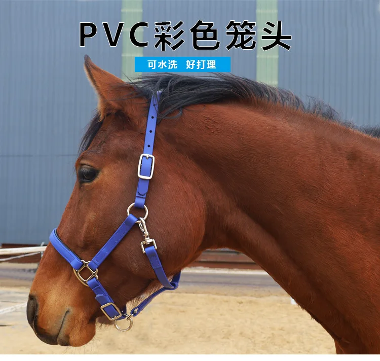 PVC Bridle Breakaway Horse Halter Equestrian Safety Equipment
PVC Bridle Breakaway Horse Halter Equestrian Safety Equipment